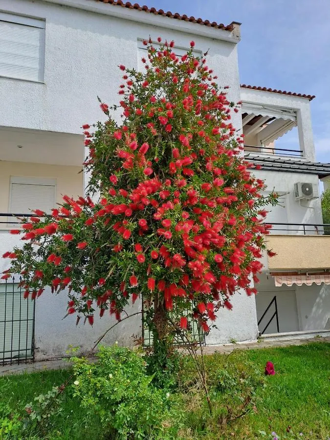 Kalipso Family Apartment Skála Foúrkas Grækenland